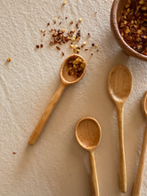 Load image into Gallery viewer, Spice Spoon