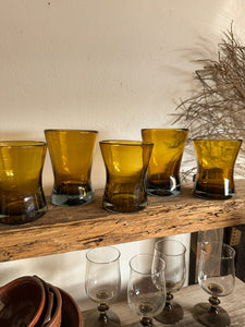 Mexican Hand Blown Tumblers, set of 5