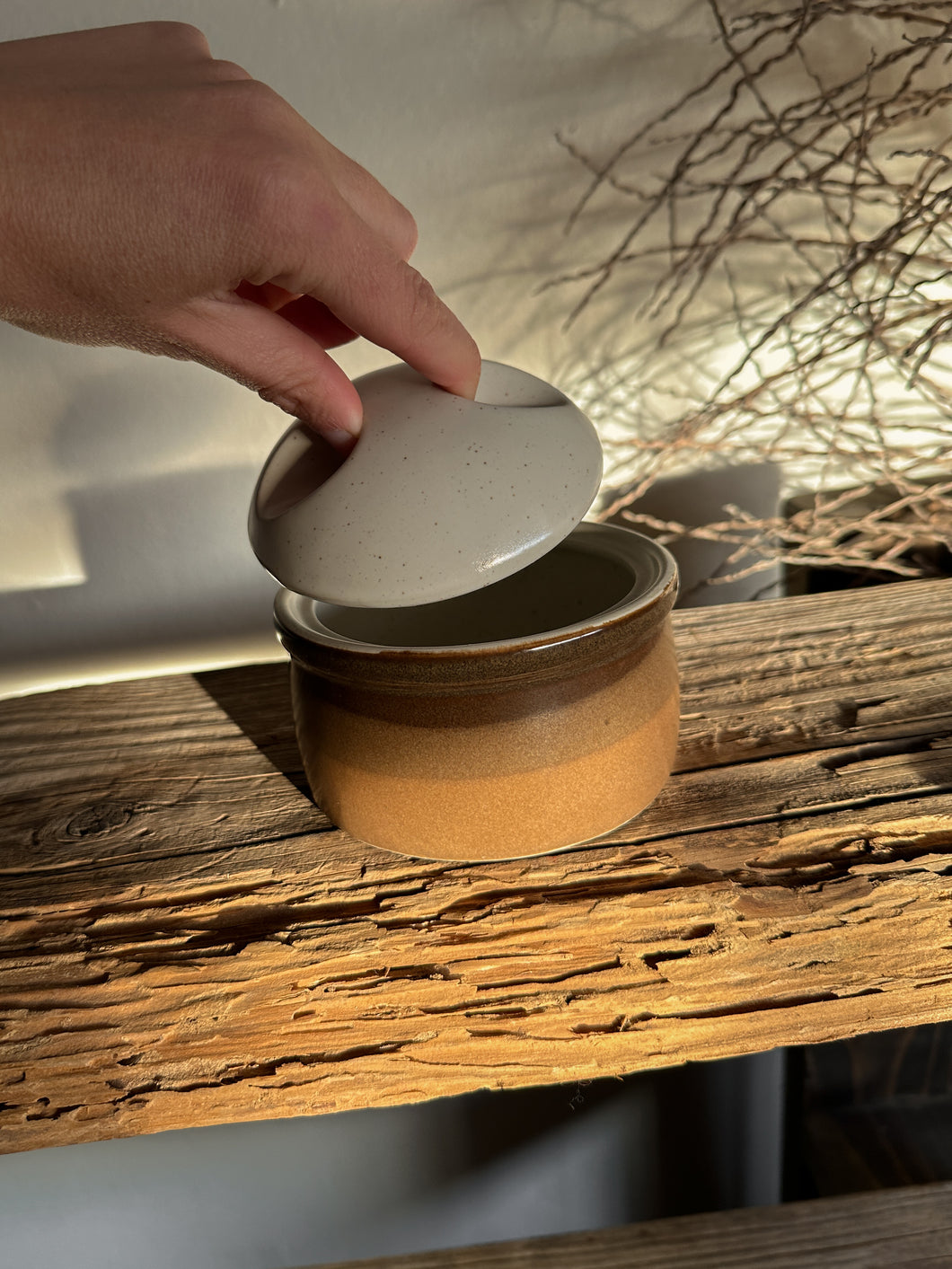 Tones of Brown Ceramic Cellar