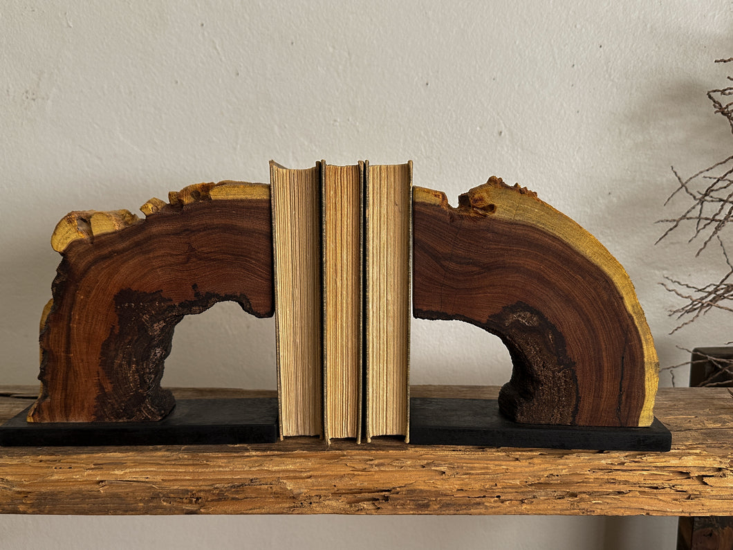 Perished Mesquite Bookends