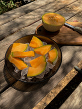 Load image into Gallery viewer, Textured Brown Glass Serving Bowl
