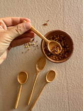 Load image into Gallery viewer, Spice Spoon